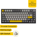 Ak820/Pro Wireless Mechanical Keyboard Bluetooth 5.1 2.4G USB-C Wired Hot Swappable RGB Gaming Keyboard Gasket Mount With