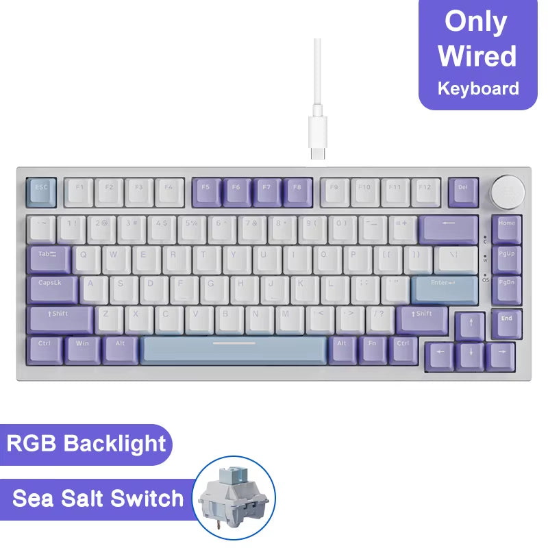 Ak820/Pro Wireless Mechanical Keyboard Bluetooth 5.1 2.4G USB-C Wired Hot Swappable RGB Gaming Keyboard Gasket Mount With