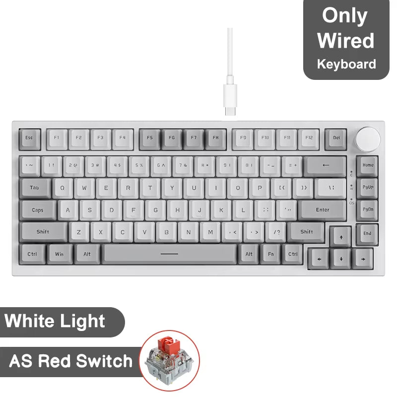 Ak820/Pro Wireless Mechanical Keyboard Bluetooth 5.1 2.4G USB-C Wired Hot Swappable RGB Gaming Keyboard Gasket Mount With